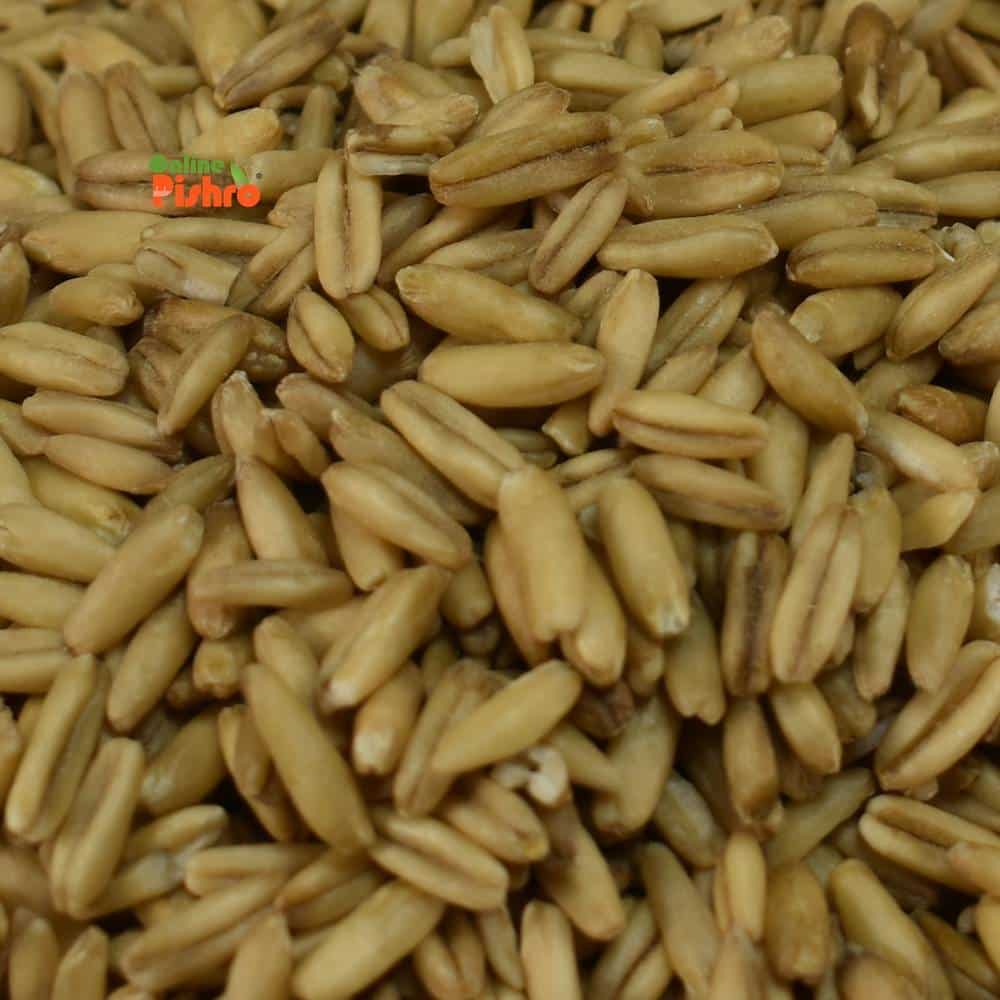 دانه کامل جو دوسر هاژه از نمای نزدیک
