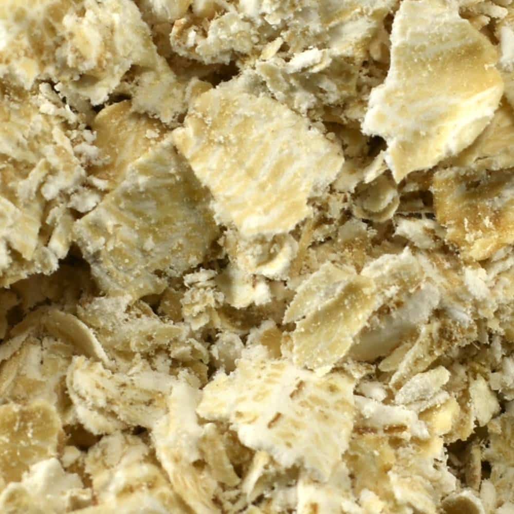 جو دوسر پرک ناز آقا از نمای نزدیک